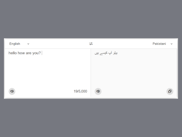 Language Translator 